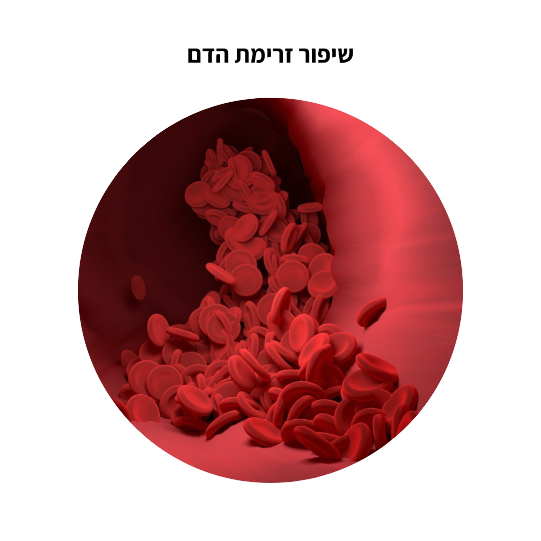 שיפור זרימת הדם